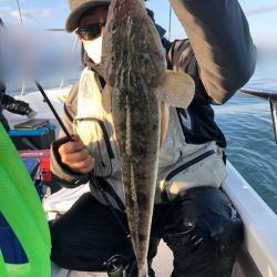 Magic（マジック） 釣果