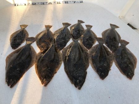 Magic（マジック） 釣果