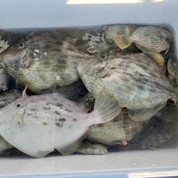 遊漁船 ニライカナイ 釣果