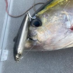 へいみつ丸 釣果