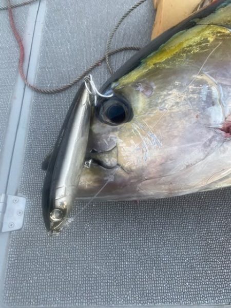 へいみつ丸 釣果