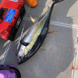 へいみつ丸 釣果