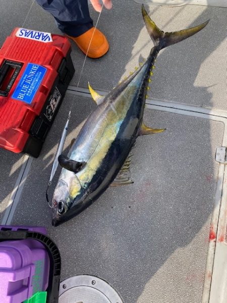 へいみつ丸 釣果