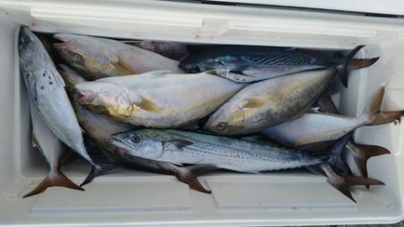 第五慶門丸 釣果