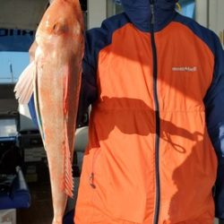 遊漁船 ニライカナイ 釣果