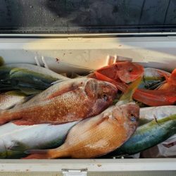 遊漁船　ニライカナイ 釣果