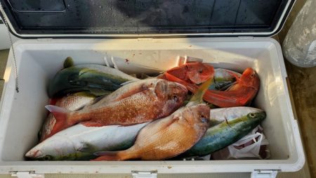 遊漁船　ニライカナイ 釣果