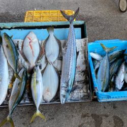 明神釣船 釣果