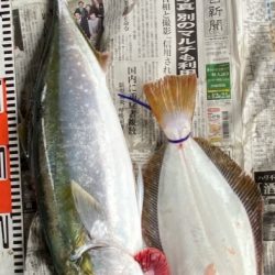 明神釣船 釣果