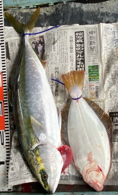 明神釣船 釣果