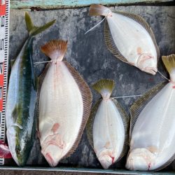 明神釣船 釣果