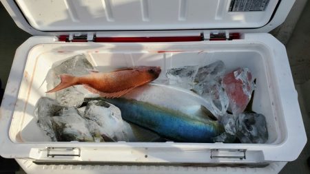 遊漁船　ニライカナイ 釣果