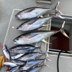 へいみつ丸 釣果