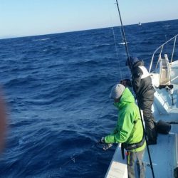 第五慶門丸 釣果