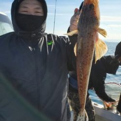 遊漁船 ニライカナイ 釣果