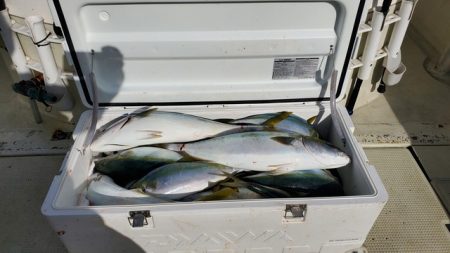 遊漁船 ニライカナイ 釣果