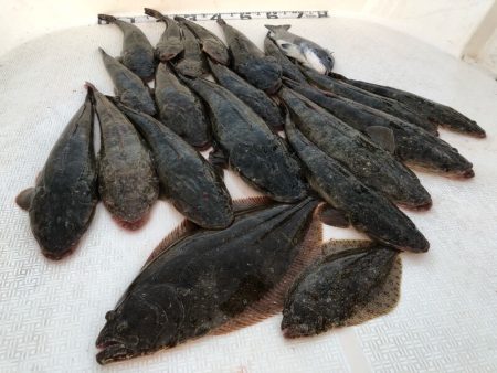 Magic（マジック） 釣果