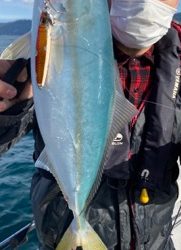 シーモンキー 釣果