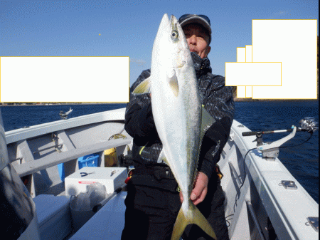 遊漁船 遊友 釣果