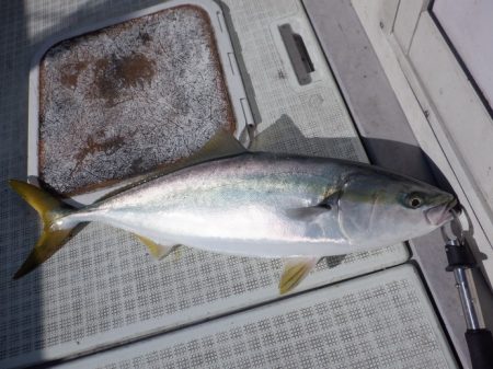 遊漁船 遊友 釣果