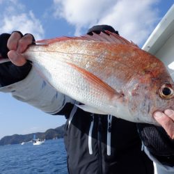 遊漁船 遊友 釣果