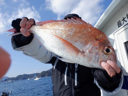 遊漁船 遊友 釣果