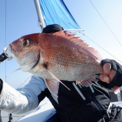 遊漁船 遊友 釣果