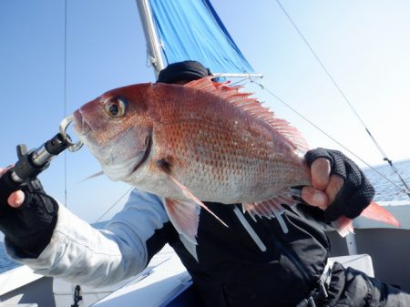 遊漁船 遊友 釣果