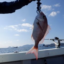 遊漁船 遊友 釣果