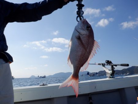 遊漁船 遊友 釣果