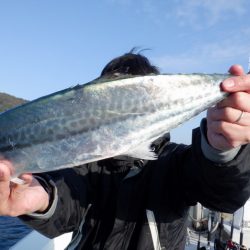 遊漁船 遊友 釣果