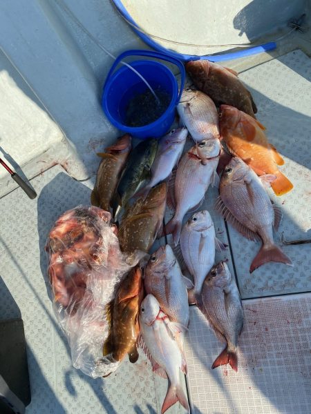 リトルワン 釣果