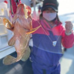 リトルワン 釣果