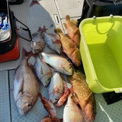 リトルワン 釣果