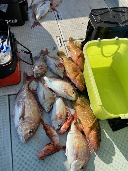 リトルワン 釣果