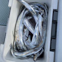 リトルワン 釣果