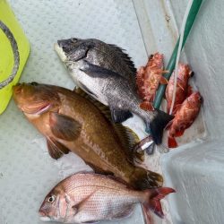 リトルワン 釣果