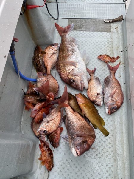 リトルワン 釣果