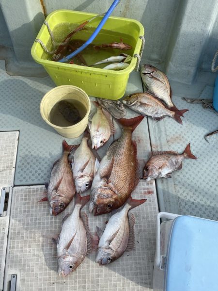 リトルワン 釣果