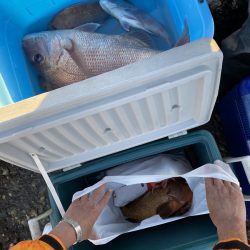 リトルワン 釣果