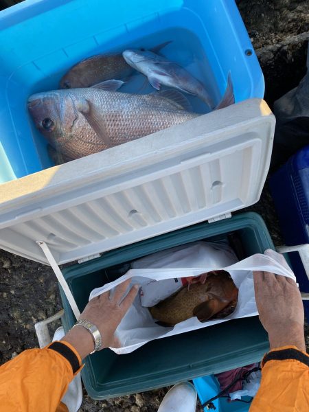 リトルワン 釣果