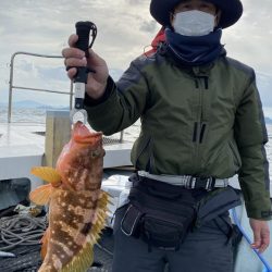 リトルワン 釣果