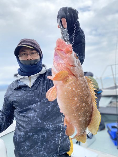 リトルワン 釣果