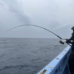 松鶴丸 釣果