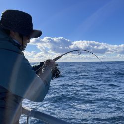 松鶴丸 釣果