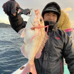 シードリーム 釣果