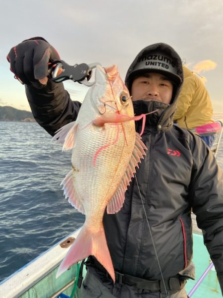 シードリーム 釣果