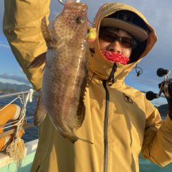 シードリーム 釣果