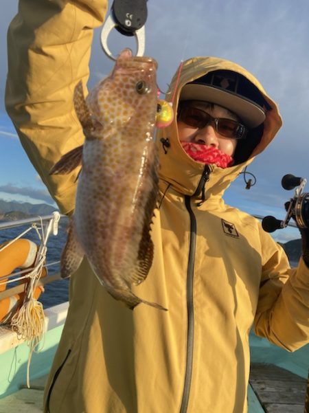 シードリーム 釣果