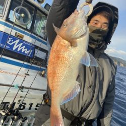 シードリーム 釣果